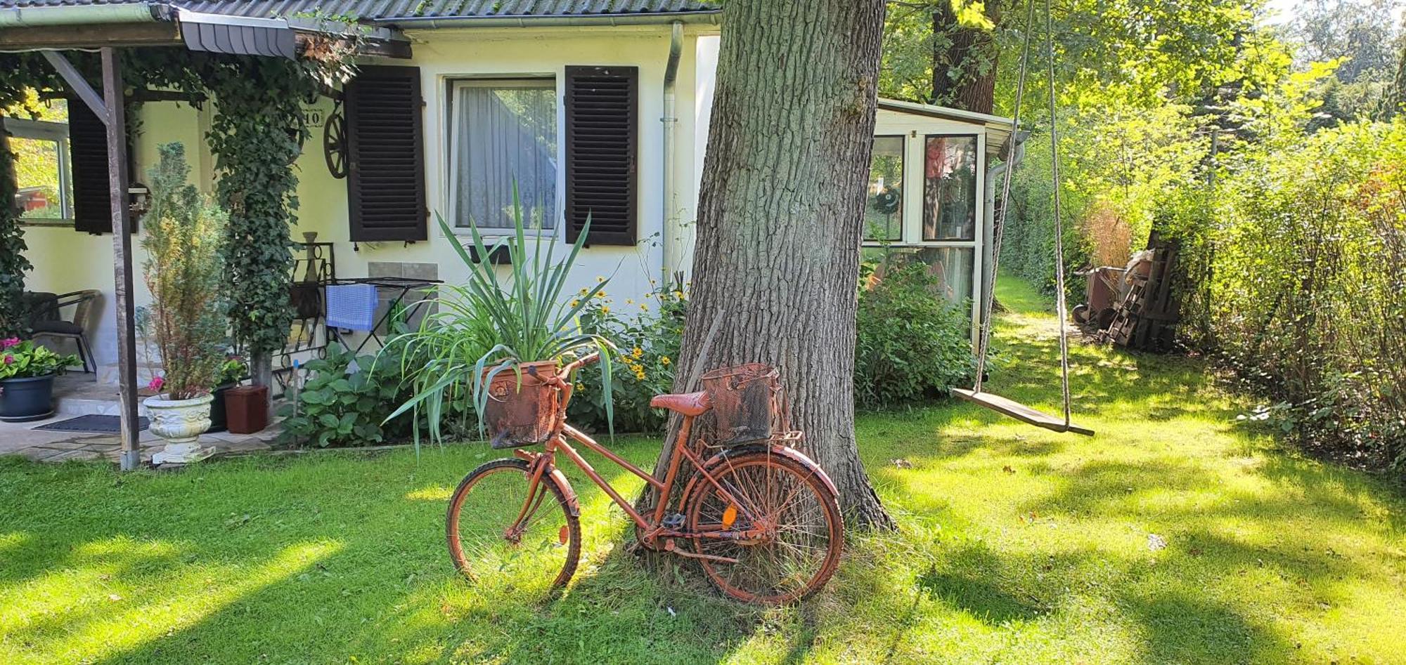 Ferienhaus Schatz Siedlung Schonwalde المظهر الخارجي الصورة